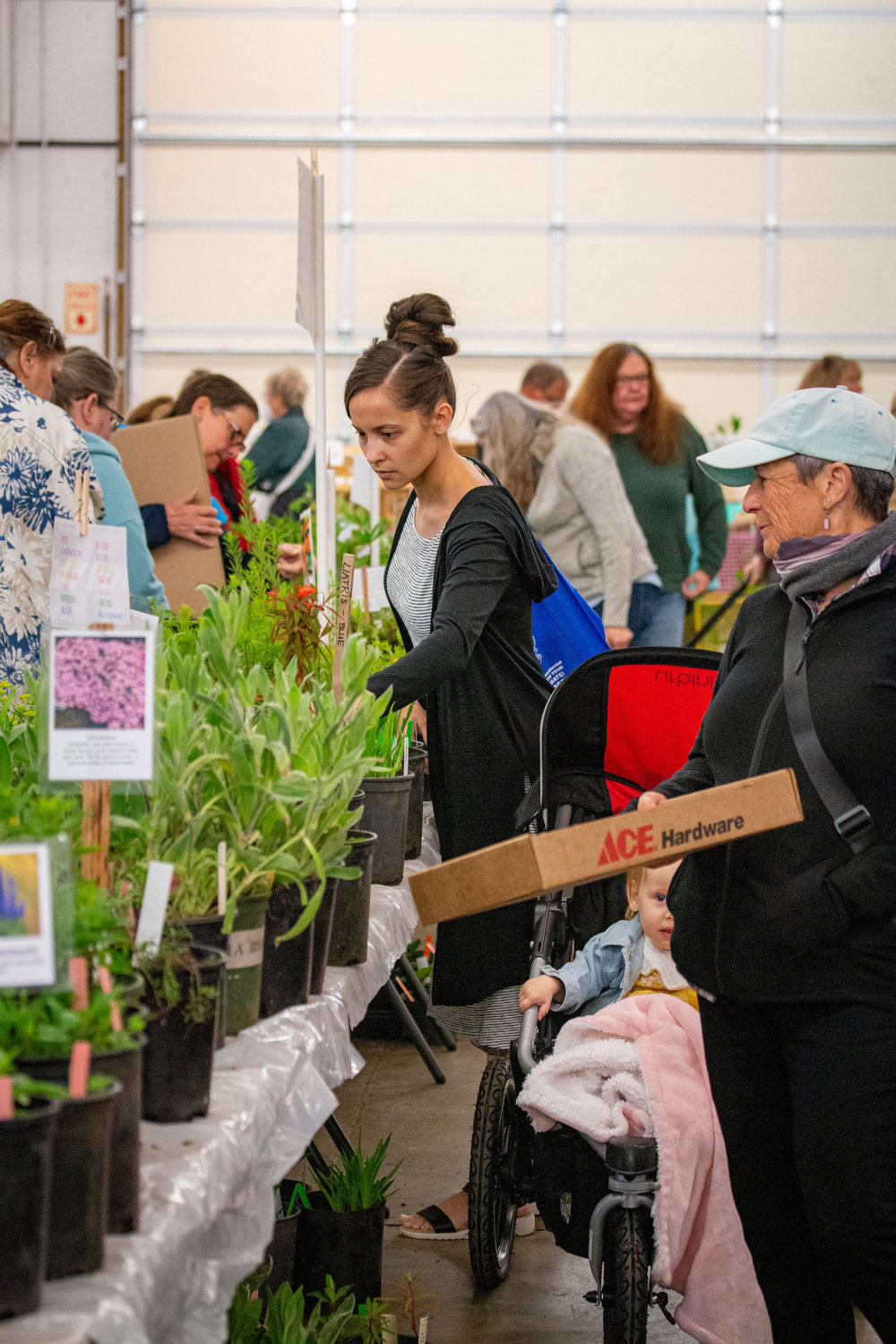 A busy scene at the Master Gardener Plant Sale at the Southwest Washington Fairgrounds Saturday.